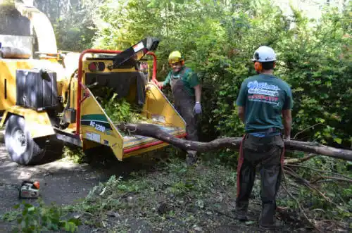 tree services Manatee Road